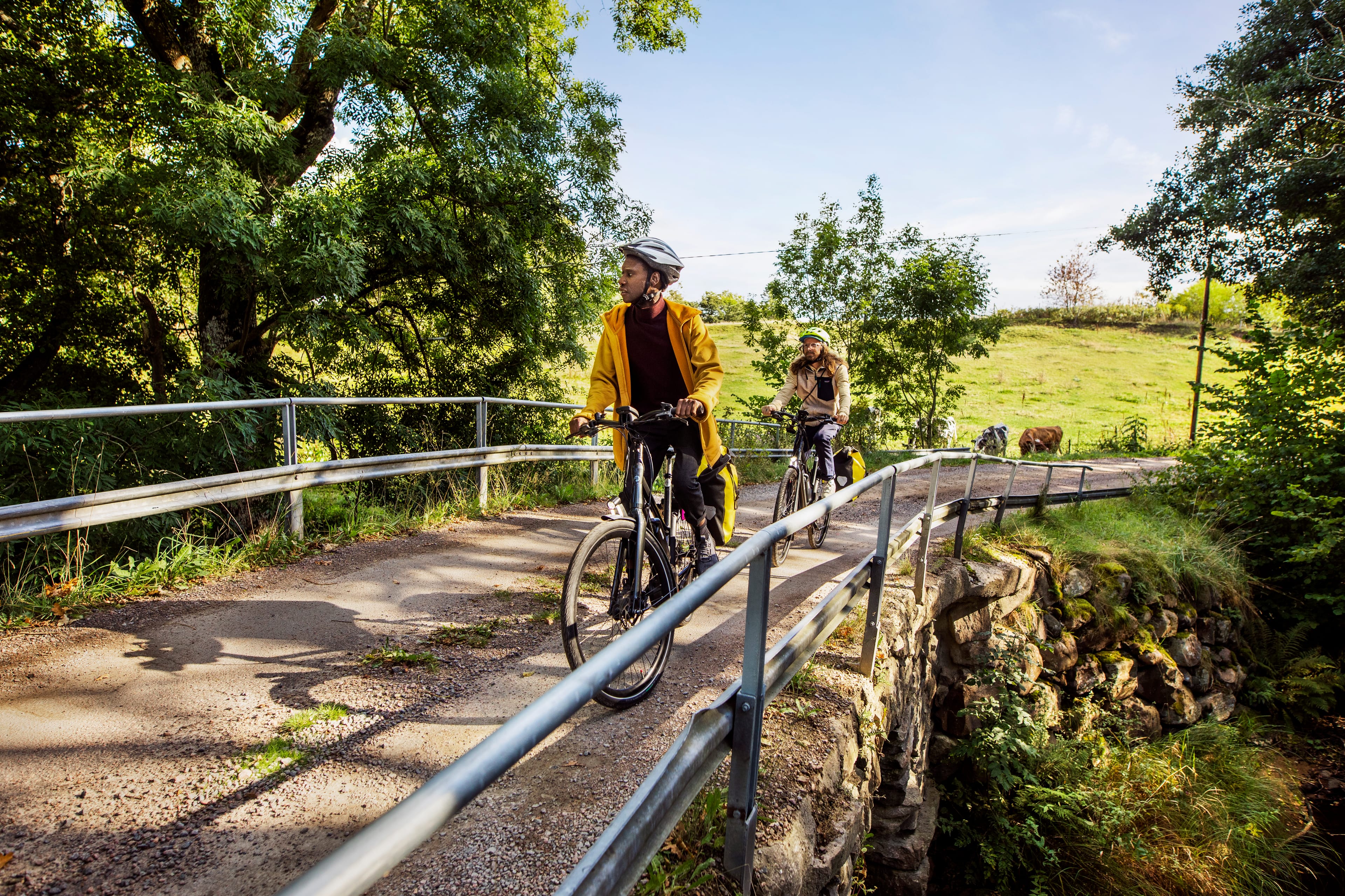 Picture of Cycle Route Skåne 103 – Ringsjön