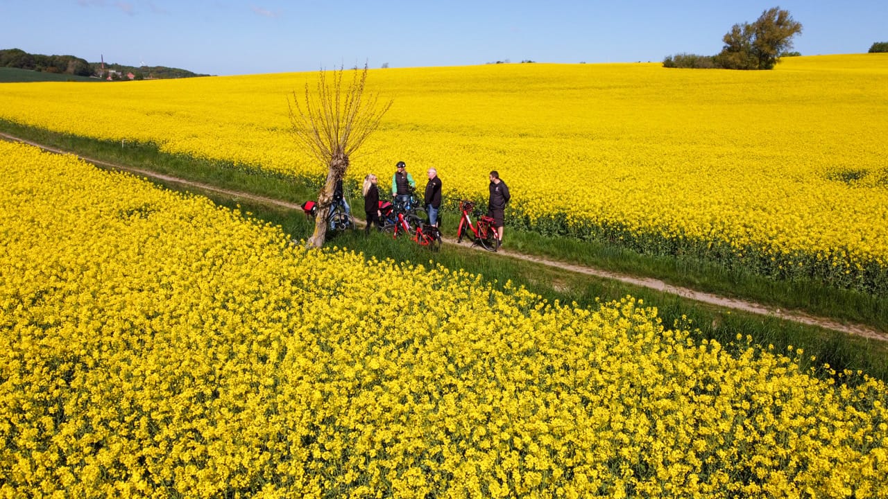 Picture of Kattegattleden Package