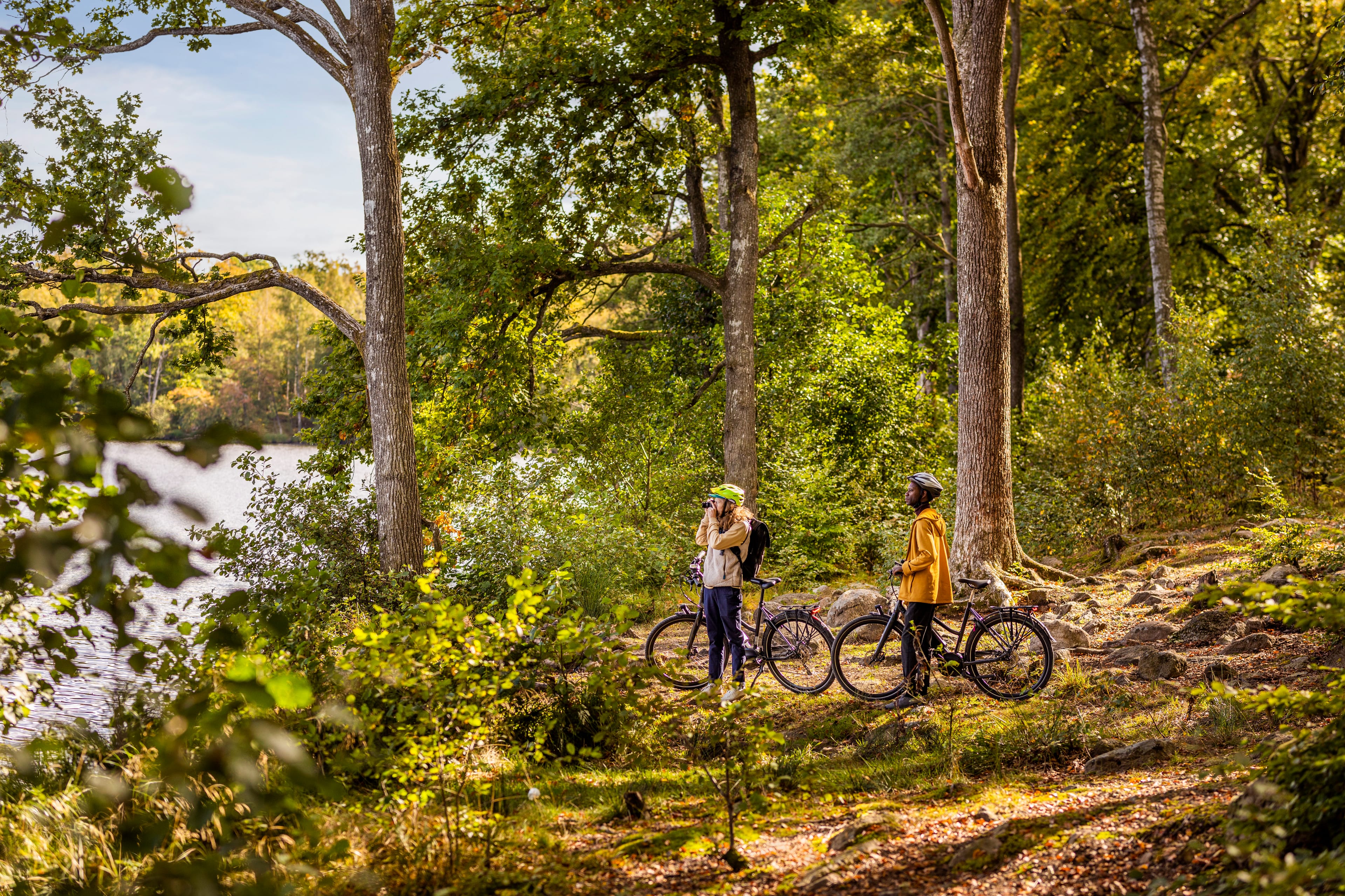 Picture of Cycle Route Skåne 103 – Ringsjön