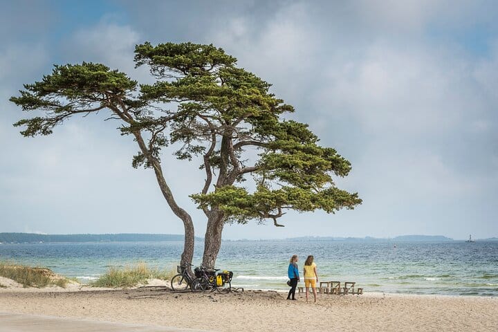 Picture of Sydostleden Baltic sea