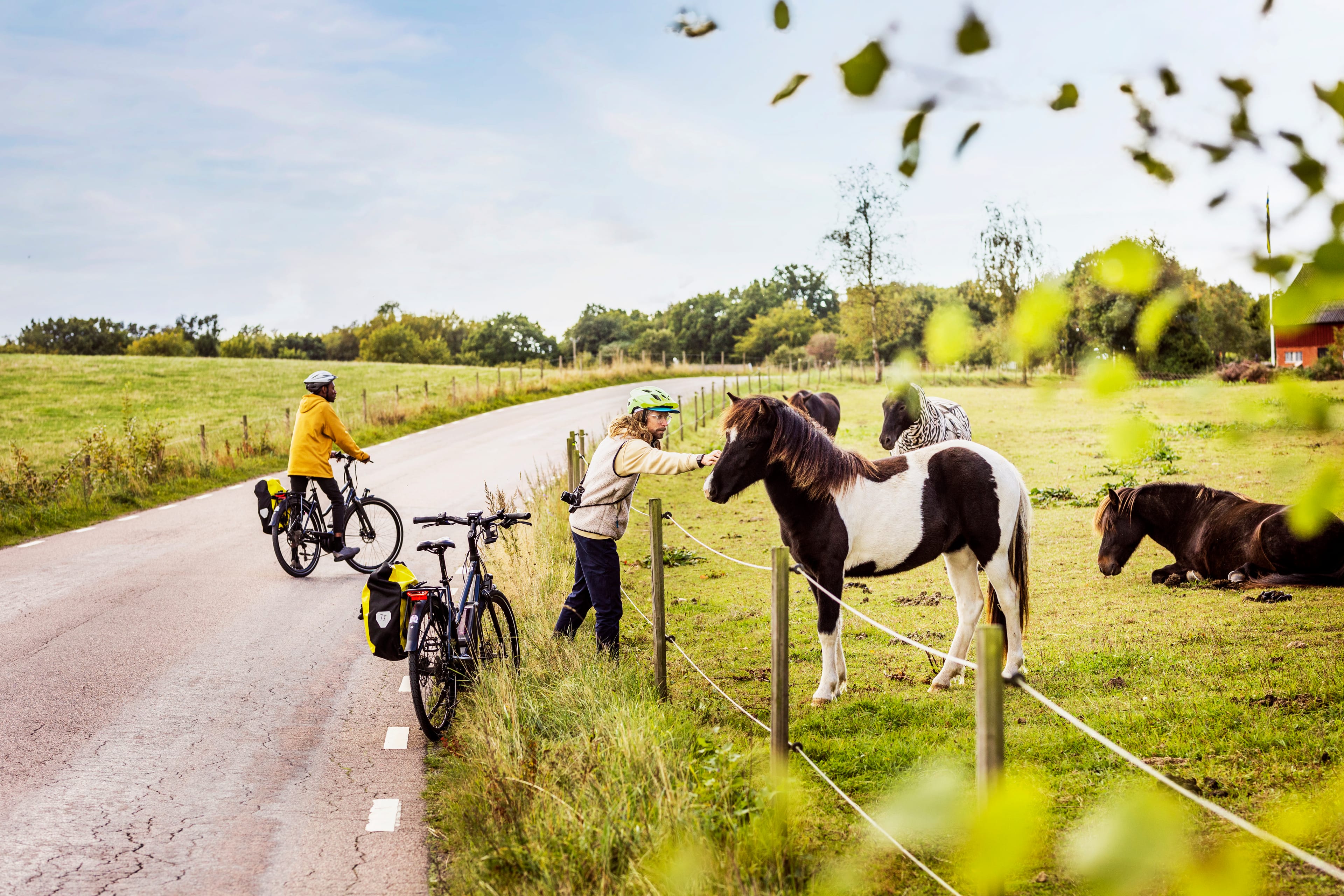 Picture of Cycle Route Skåne 103 – Ringsjön